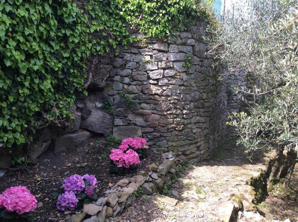 Casa Vacanze Ada Fiesole Dış mekan fotoğraf