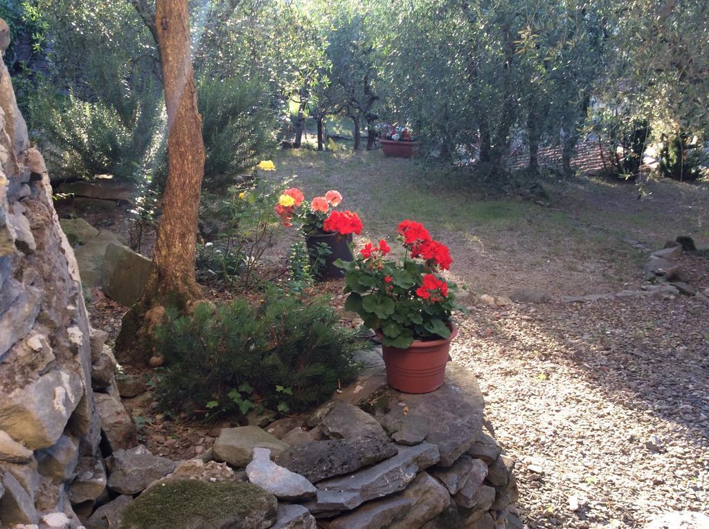 Casa Vacanze Ada Fiesole Dış mekan fotoğraf